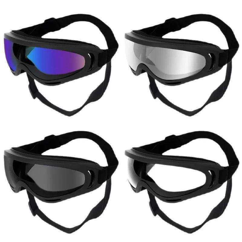 Lunettes de soleil pour chien réglables
