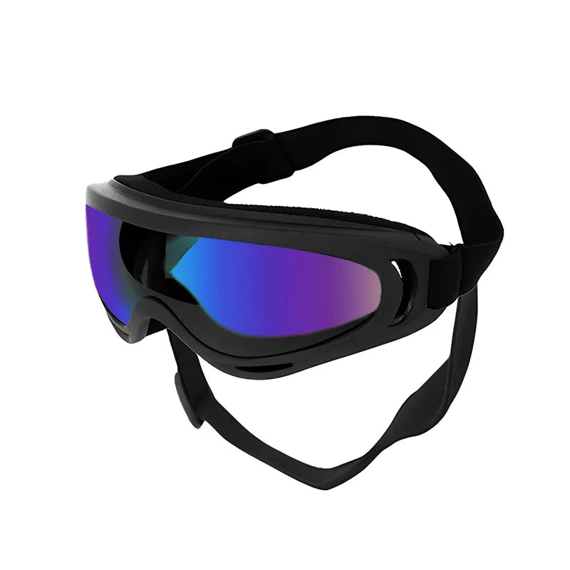 Lunettes de soleil pour chien réglables