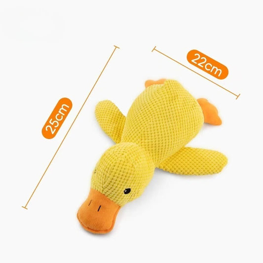 Squeaky Toy