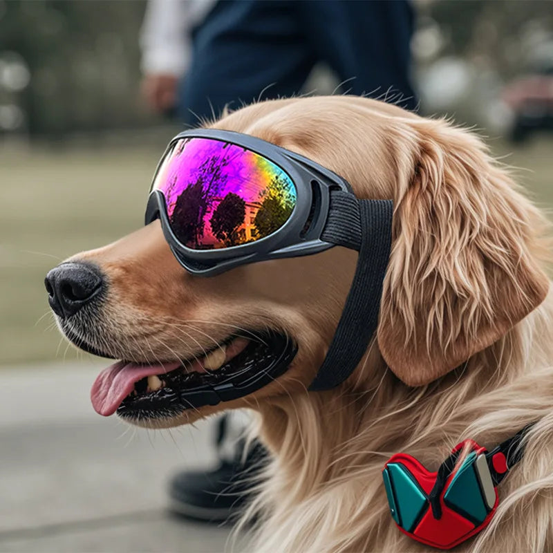 Lunettes de soleil pour chien réglables