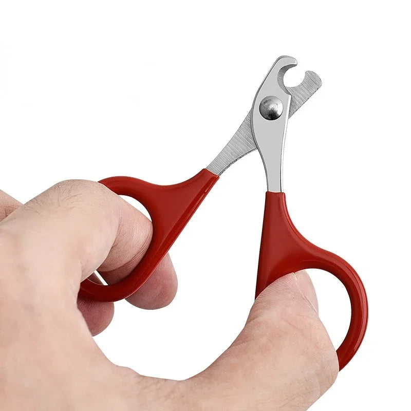 Profi Nagelschere