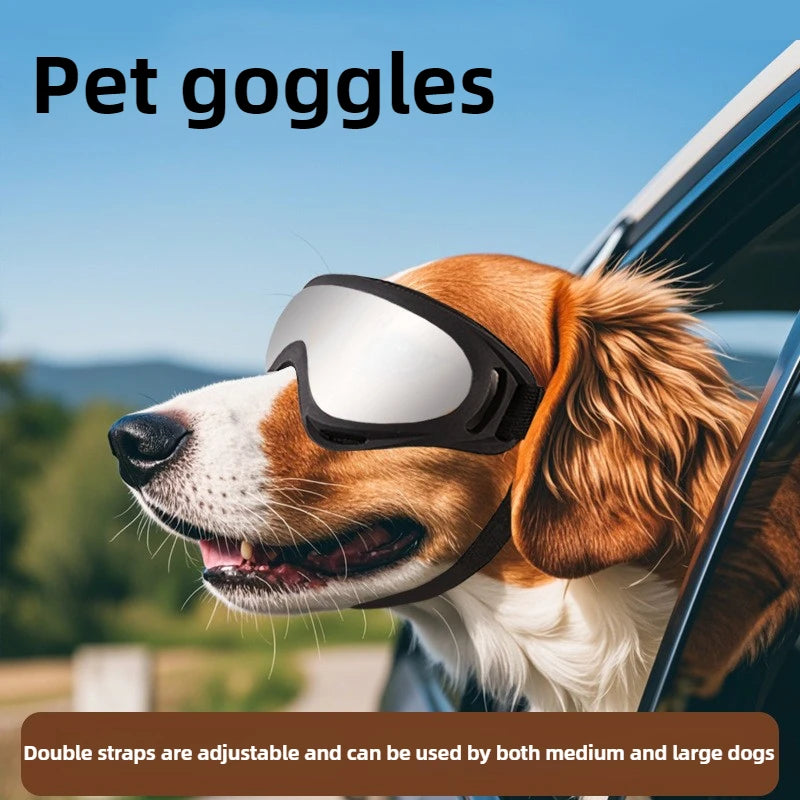 Lunettes de soleil pour chien réglables
