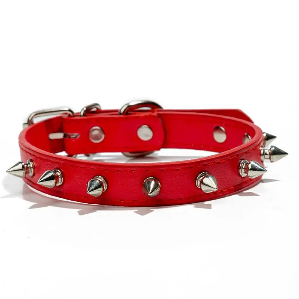 Halsband für Katze und Hund aus Leder