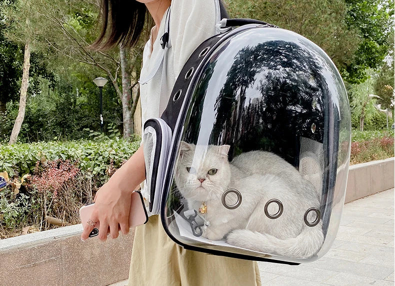 Breathable Carry Bag