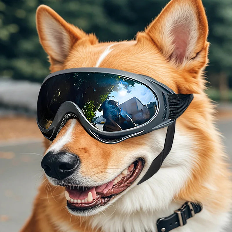 Lunettes de soleil pour chien réglables