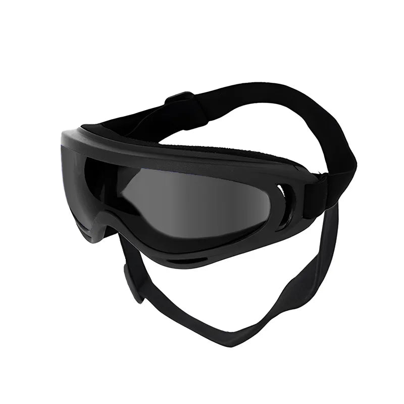 Lunettes de soleil pour chien réglables