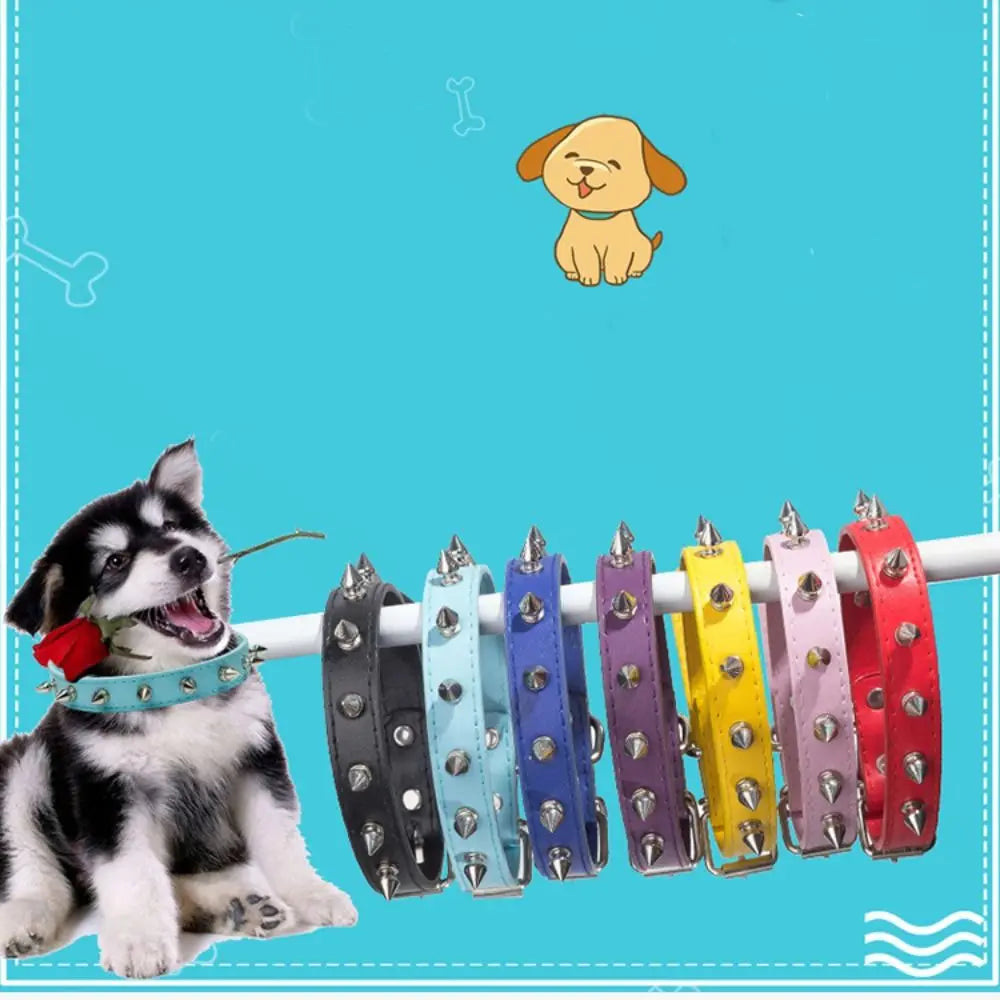 Halsband für Katze und Hund aus Leder