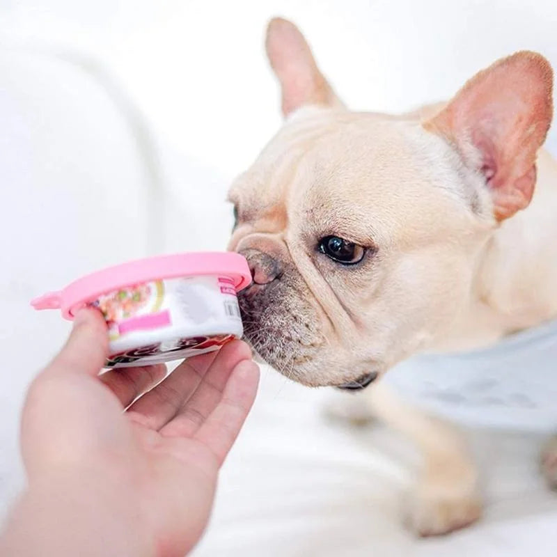 Bols d'alimentation réutilisables en silicone 3-en-1 pour animaux de compagnie