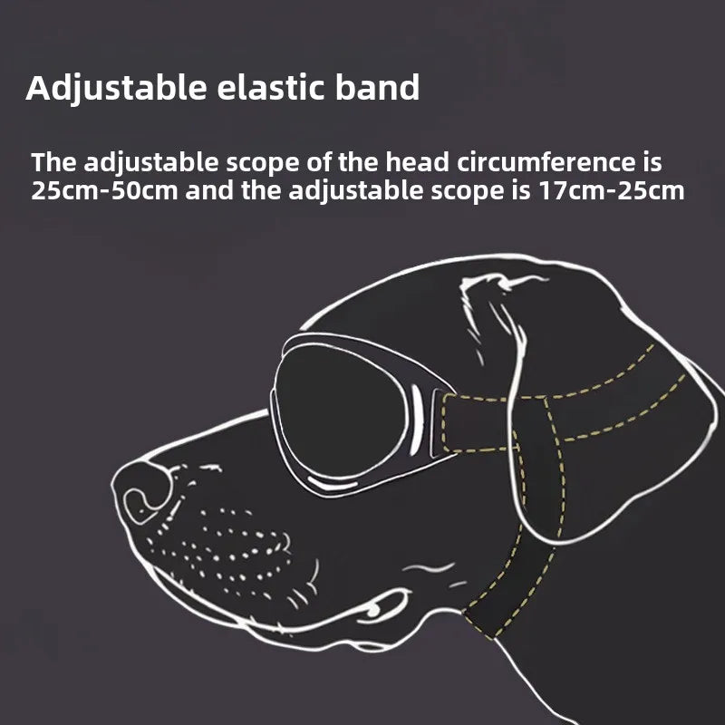 Lunettes de soleil pour chien réglables
